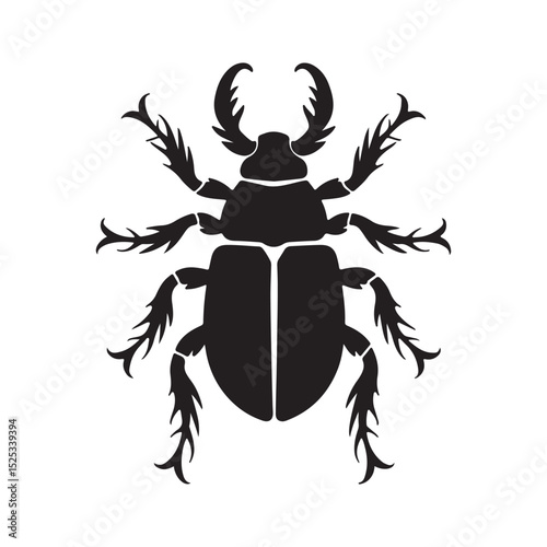 Black and white beetle illustration with tribal and nature tattoo style