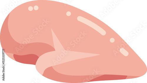 Chicken Breast Meat Raw Fresh Protein for Cooking and Nutrition Vector Illustration 