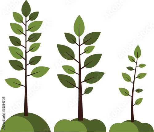 Young tree growth stages showing development from seedling to mature plant with green leaves and brown stems vector illustration 