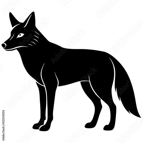 black cat vector