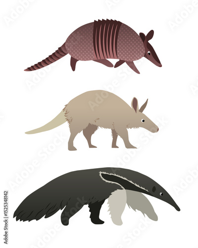 Flat style vector set of animals consists of armadillo, aardvark, anteater.