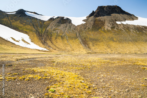 Lonely icelandic highland in Iceland during a sunny day