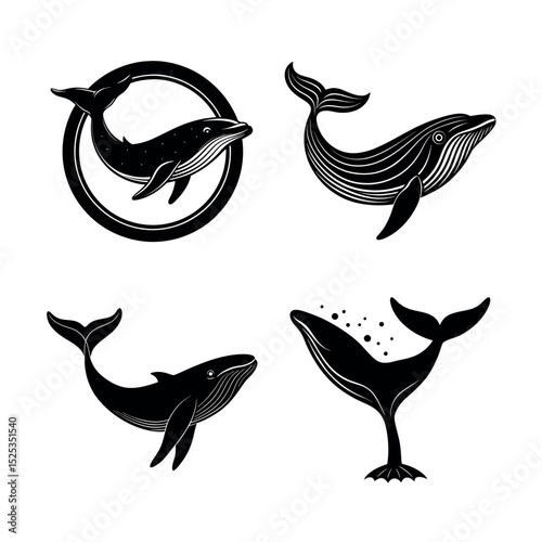 Elegant Whale Illustrations Four Unique Black and White Designs