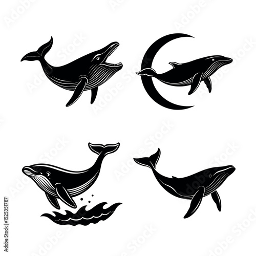 Whale Illustrations Set of Four Unique Black and White Whale Designs