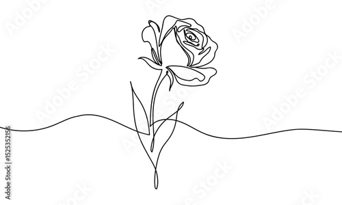 Continuous line, rose, isolated Vector art lines, transparent background, edit stroke.