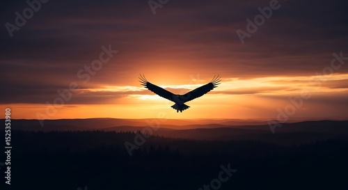 Eagle Flying Over Sunset Mountains – Majestic Bird Silhouette Art

