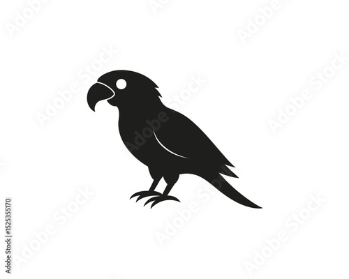 Colorful Parrot Vector Illustration on White Background