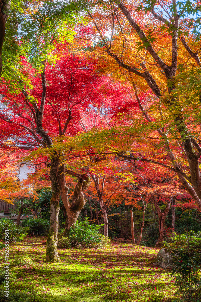 Naklejka premium The marvelous Enko-ji Temple during fall season in Kyoto, Sakyo ward, Japan.