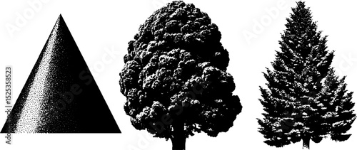 Minimalist engraving art with stippling and halftone textures featuring geometric and natural forms