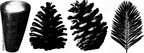 Minimalist nature engravings featuring pine cones and needle leaf in stippled halftone texture
