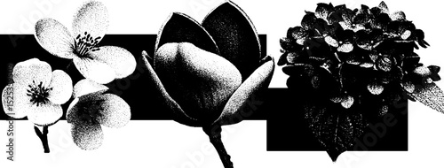 Minimalist floral designs with engraving and halftone techniques for artistic projects