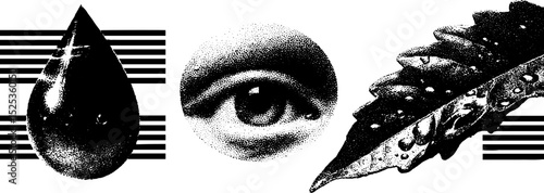 Realistic engraving with stippling and halftone techniques featuring geometric and organic elements