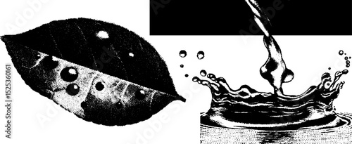 Realistic engraving of leaf with water droplets and splashing liquid in stippling and halftone style
