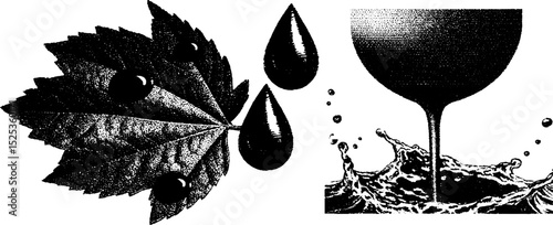 Realistic engraving of leaf and water droplets with halftone texture for art and design