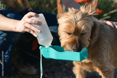 Woman giving water to her dog with portable bottle in a summer afternoon