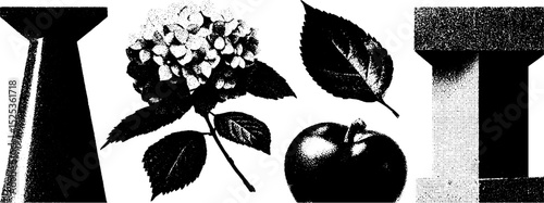 Vintage engraving with stippling and halftone texture featuring flower, leaf, and apple