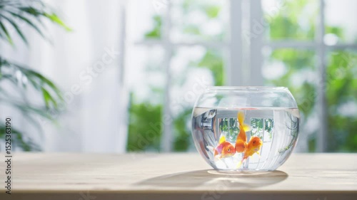 Quiet Moment with a Goldfish in a Glass Bowl