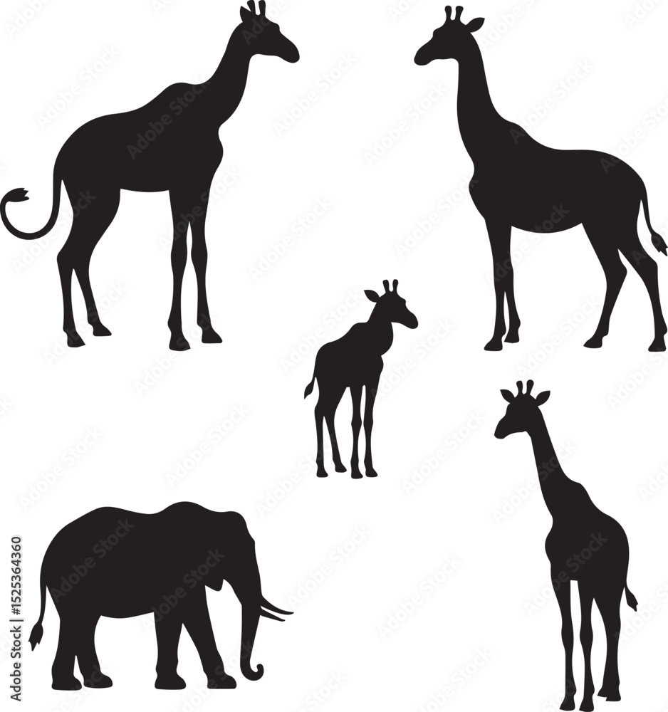 Fototapeta premium animals silhouettes vector
