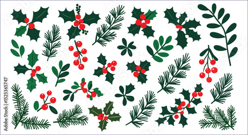 Christmas Holly And Pine Branches Festive Holiday Vector Illustration Design