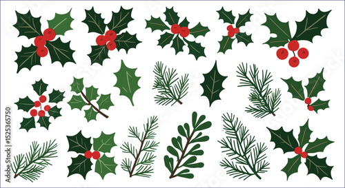 Christmas Holly Berries And Evergreen Branches Botanical Illustration Set Graphic Elements