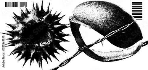 Vintage engraving of spiky sphere and textured sphere with halftone and stippling texture