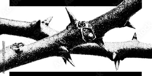 Vintage engraving of thorny branch with stippling and halftone texture