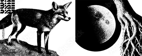 Vintage engraving of a fox and moon with stippling and halftone texture