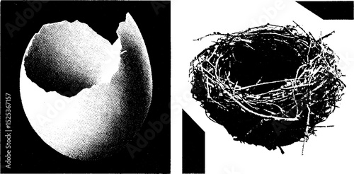 Vintage engraving of eggshell and nest with stippling and halftone texture