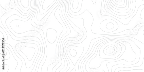 Abstract topographic contours map background- Topography Vector geographic contour map.
