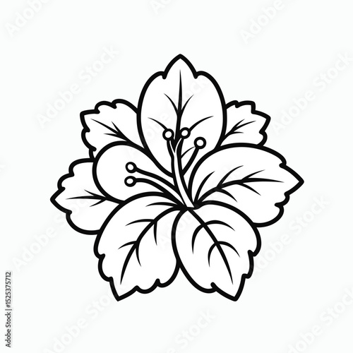 hibiscus-flower-out-line-victor-icon-on-white-back (1).eps
