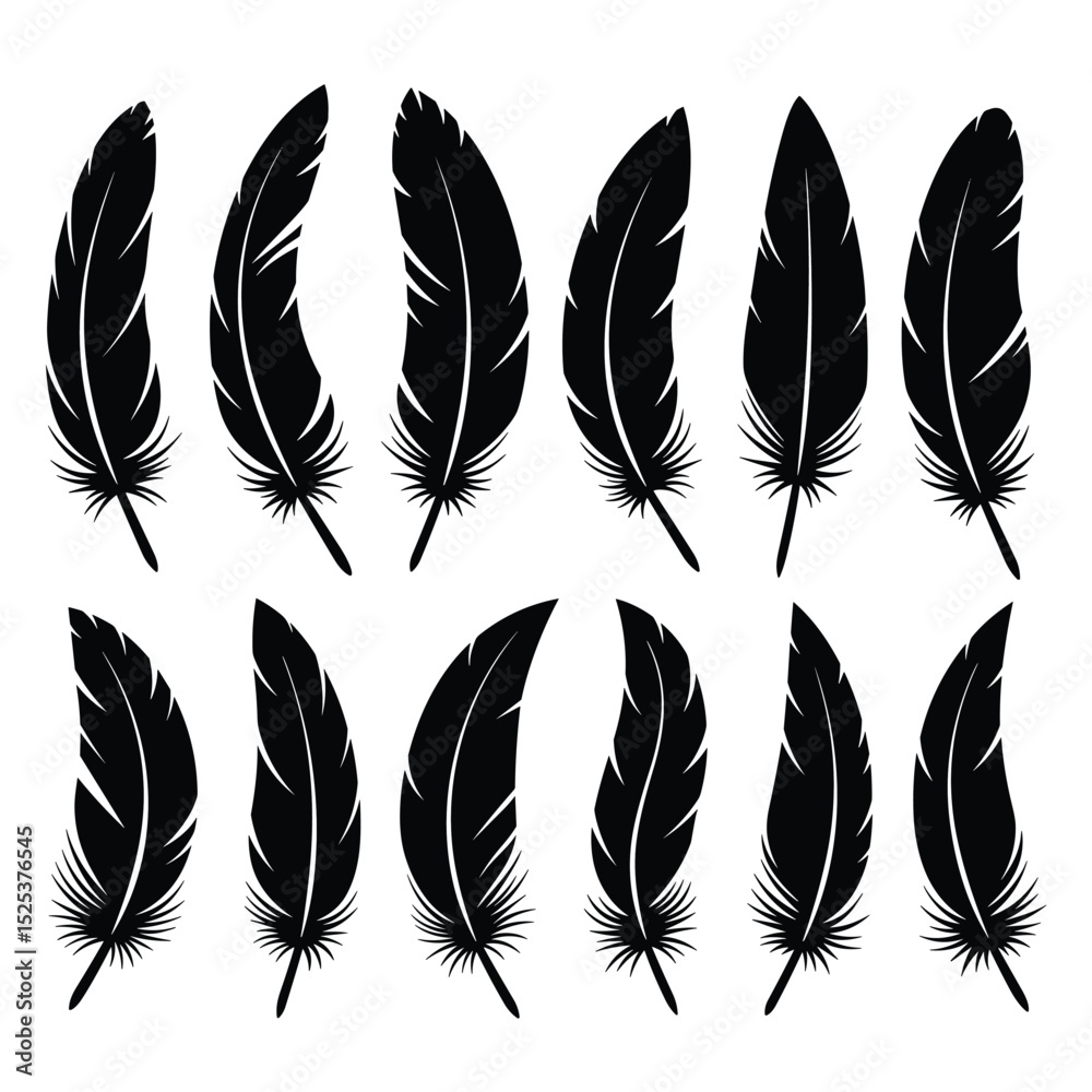 Obraz premium Bird Feather black silhouettes. Plumelet collection. Vector isolated on white