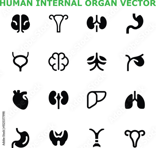 Human Internal Organs Vector Icons Anatomy, Medicine, Health
