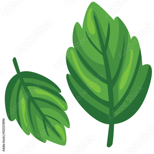 Sprigs of greenery for decorating desserts and cocktails. Vector drawing of mint. Fragrant herb to decorate a variety of dishes.