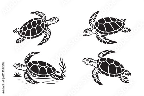 Vector sea turtle collection with seabed plants and ocean elements—ideal for eco-friendly branding, wildlife art, and marine education materials