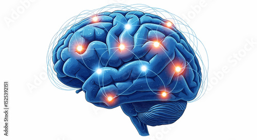 A high-quality, detailed, realistic image of a blue human brain from the side, featuring glowing orange/white highlights and complex neural pathways. Ideal for use as a vector on a white background.