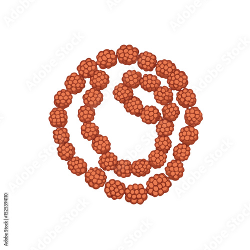 coffee beans isolated on white background