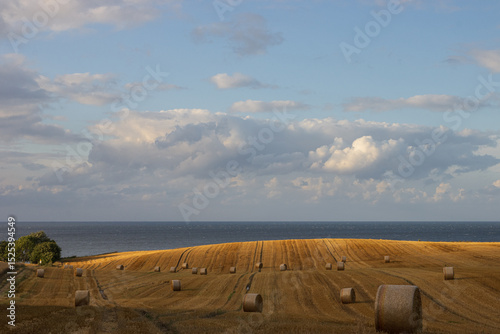 abgeerntetes Gertreidefeld and der Ostsee mit Heuballen im Sommer. photo