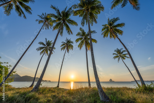 Palm trees on the beach, Koh Yao Yai, Thailand