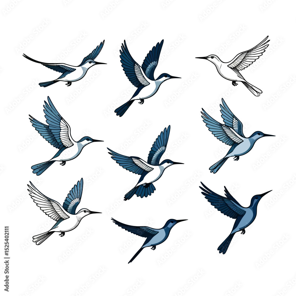Obraz premium Flying Birds Illustration-Bird Art Designs-Bird Clipart with White Background-Graphic Element for Nature Lovers-Illustration of Birds in Flight-Bird Designs for Decor