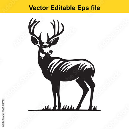 Majestic Mule Deer Buck Silhouette in a Field