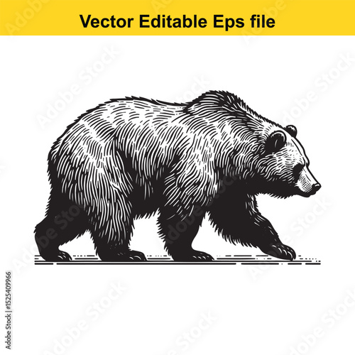 Grizzly Bear Walking Side Profile, Black and White Line Art Vector Illustration