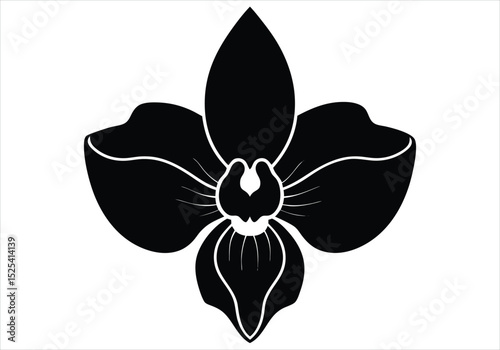 Orchid Flower Silhouette Exotic Elegance