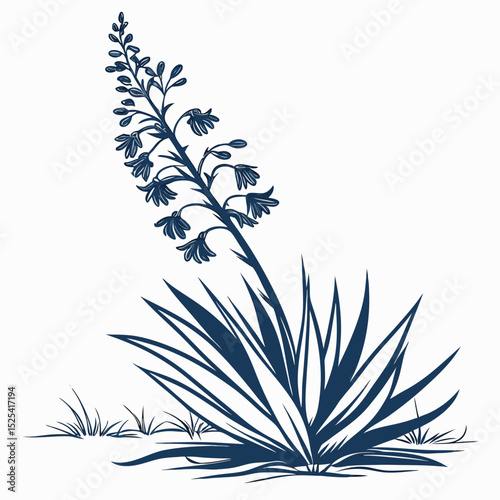 black and white yucca