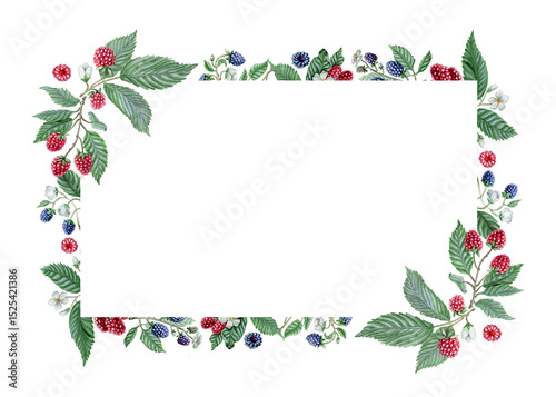 Greeting card template with berries. Great as housewarming invitation, watercolor moving card, culinary menu or label etc.  Cutout on white. 