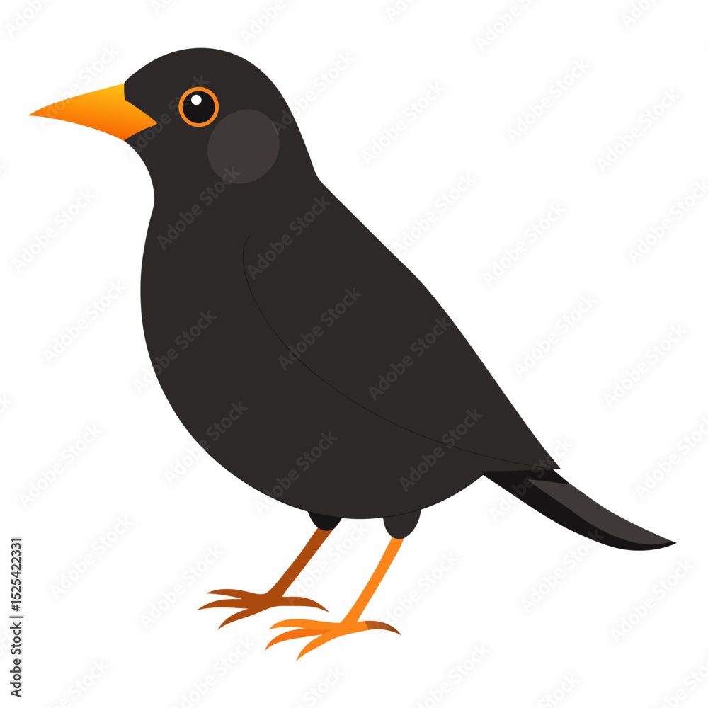 Obraz premium Eurasian Blackbird – Simple Colored Vector on White