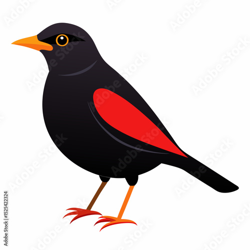 Eurasian Blackbird – Simple Colored Vector on White