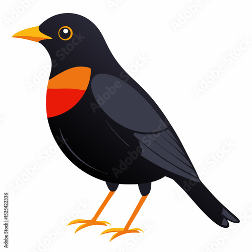 Eurasian Blackbird – Simple Colored Vector on White