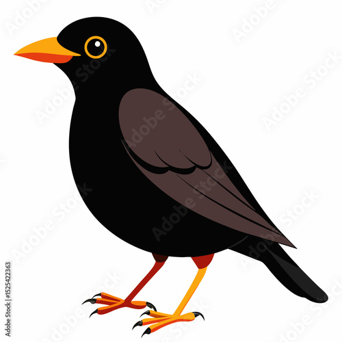 Eurasian Blackbird – Simple Colored Vector on White