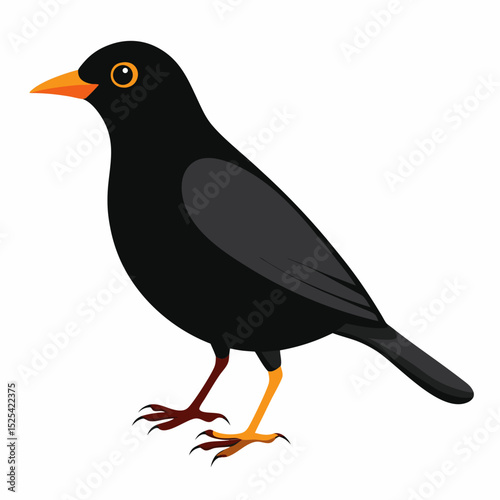 Eurasian Blackbird – Simple Colored Vector on White
