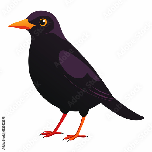Eurasian Blackbird – Simple Colored Vector on White